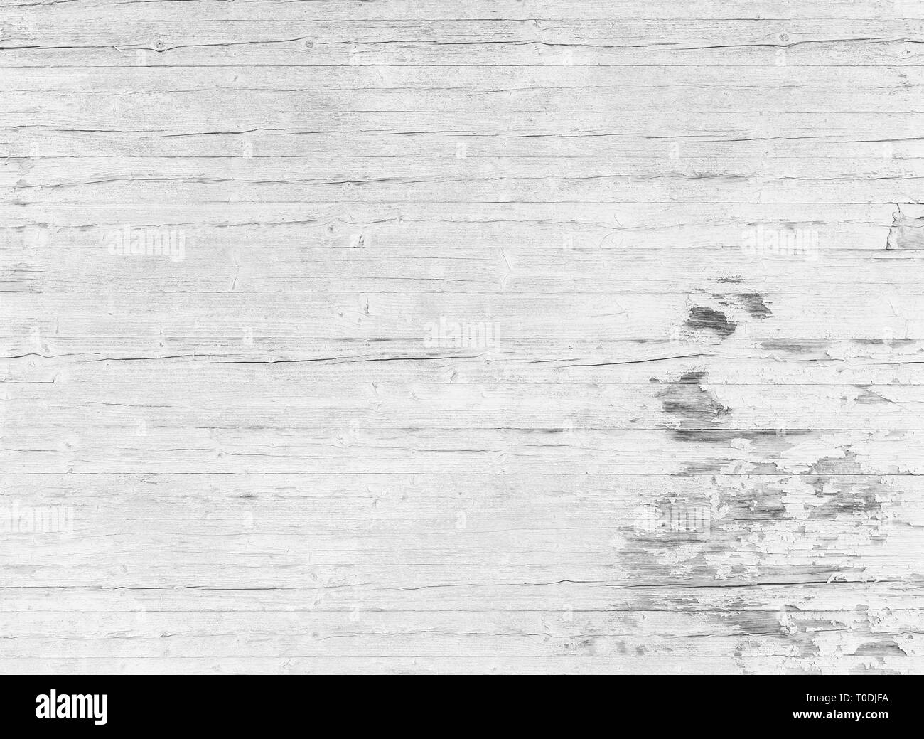 High resolution full frame background of a weathered wooden wall or wood paneling in black and white, paint peeling off. Stock Photo