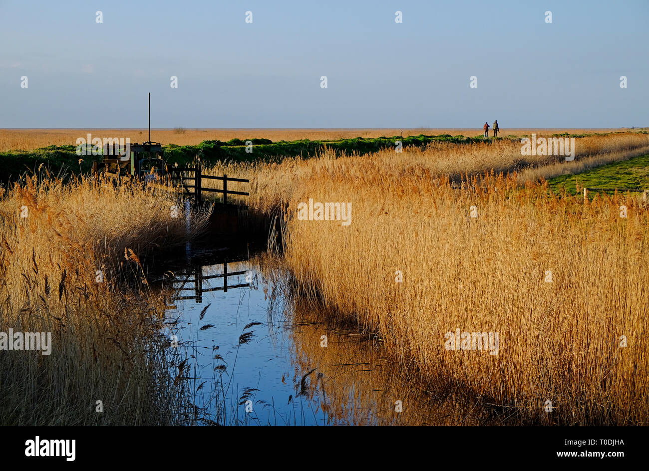 cley marshes, cley-next-the-sea, north norfolk, england Stock Photo