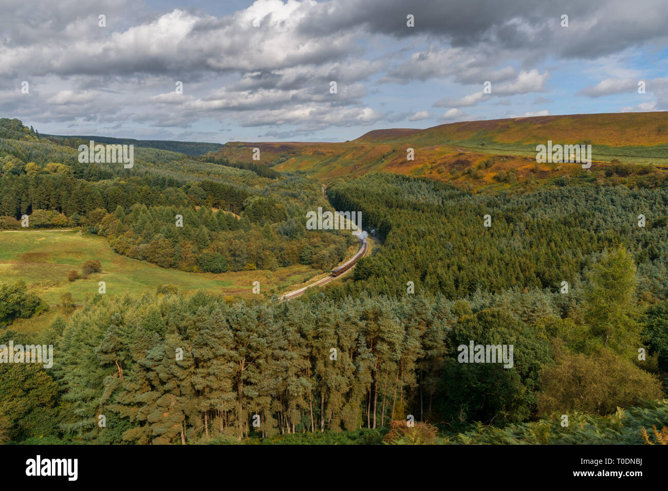 Near Levisham, North Yorkshire, England, UK September 13, 2018 A