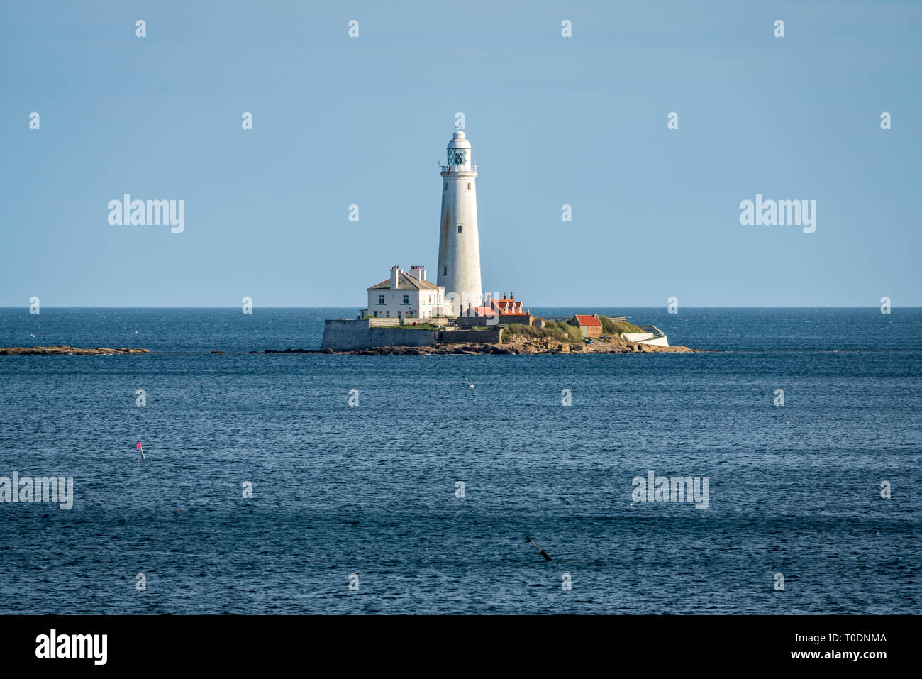 Seaton Sluice in Northumberland, England, UK - September 11, 2018: St. Mary's Lighthouse, seen from Collywell Bay Stock Photo