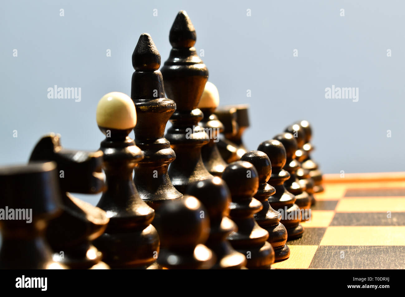 Chessboard with chess black pieces, queen in focus, king and queen, bishop, knight, rook, pawn Stock Photo