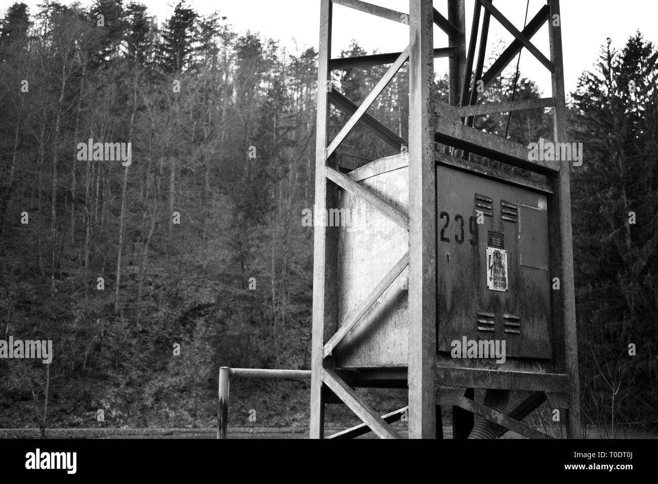 Utility pole for overhead power lines surrounded by trees, combination of technology and nature, black and white Stock Photo