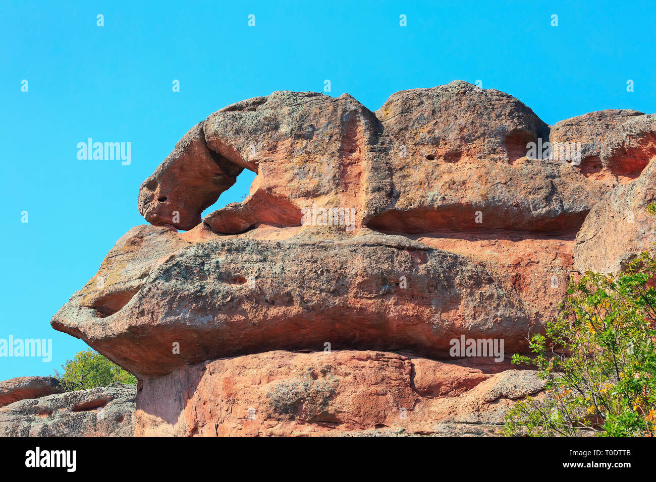 close-up-belogradchik-fantastic-shapes-cliff-rocks-nature-gem-landmark-bulgaria-T0DTTB.jpg