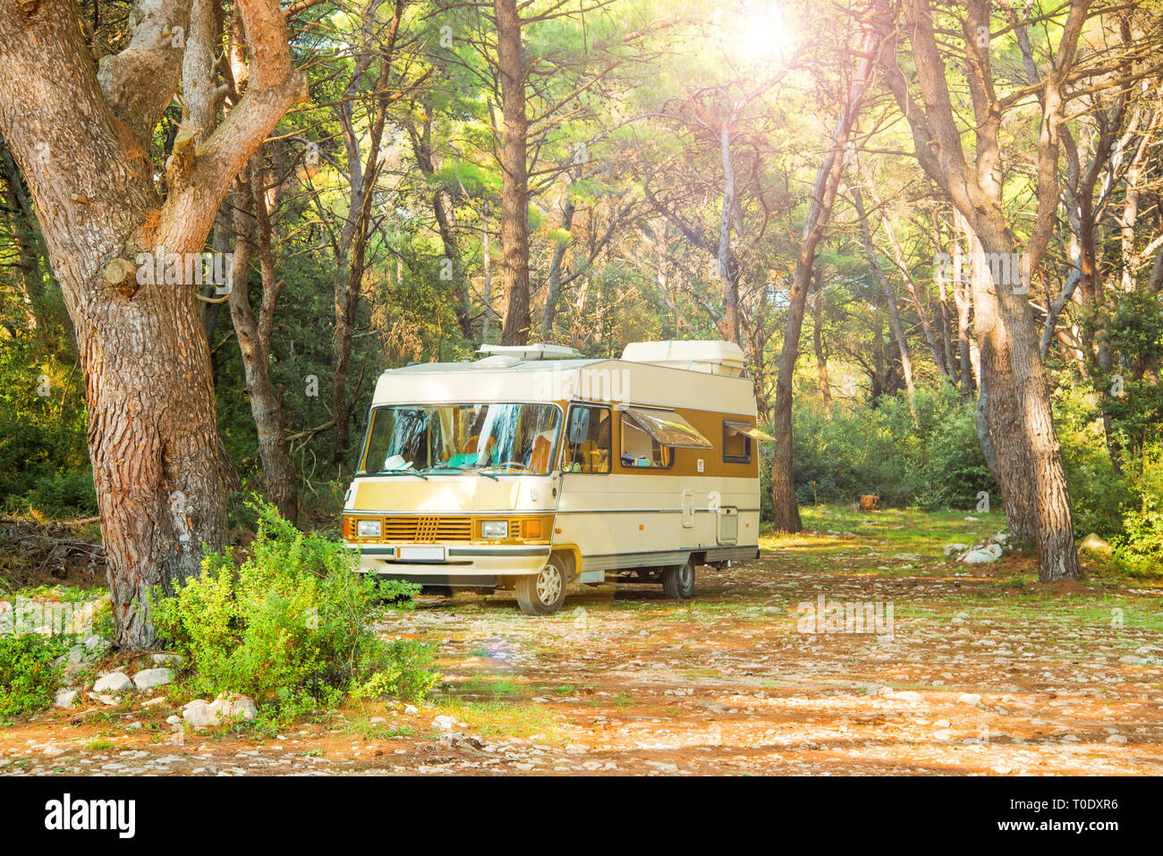 old retro style camper van parked on camping ground in pine forest on sunny summer day in Croatia Stock Photo