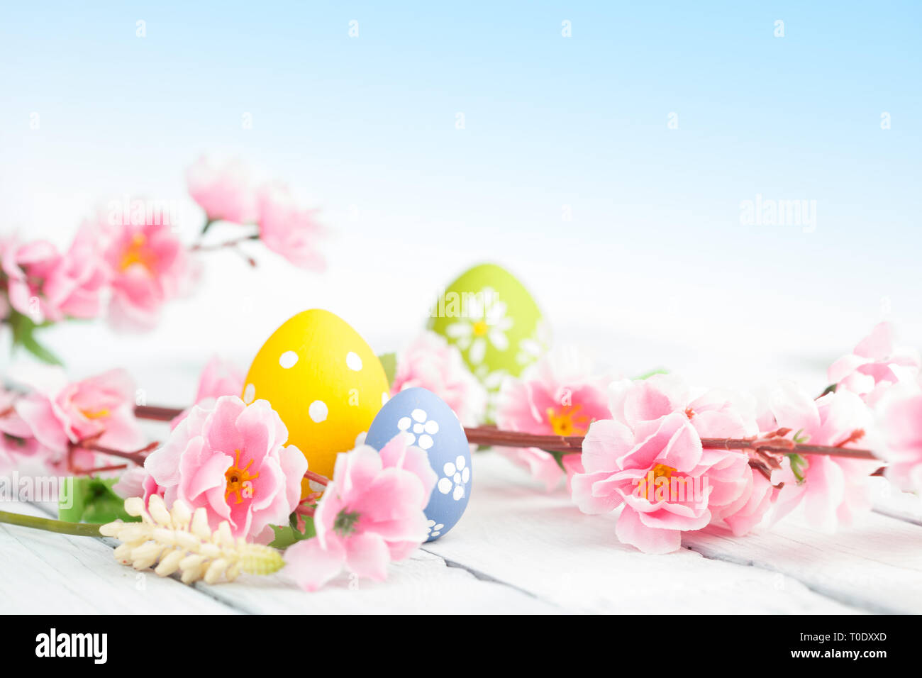 Easter eggs and pink flowers decoration on blue background. Gentle toned picture Stock Photo