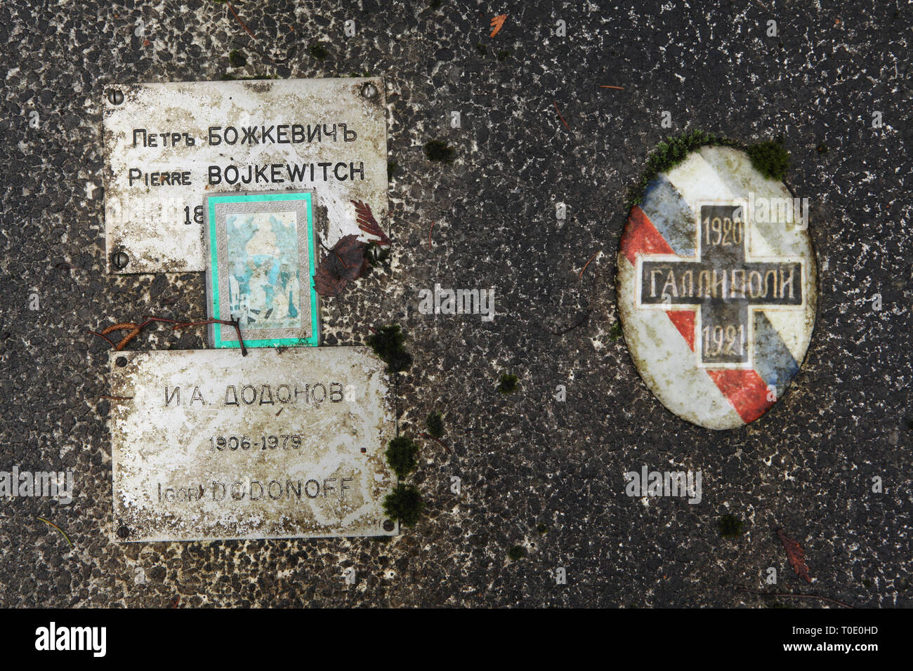 Gallipoli Cross depicted on the grave of Russian military officers Petr Bozhkevich (1895-1973) and Igor Dodonov (1906-1979) at the Russian Cemetery in Sainte-Geneviève-des-Bois (Cimetière russe de Sainte-Geneviève-des-Bois) near Paris, France. In November 1920, after the defeat in the Russian Civil War the Russian White Army of General Wrangel was evacuated from Crimea to Gallipoli Peninsula in Turkey. Russian soldiers and their families spent there one year as refugees before they were allowed to move to European countries. The Gallipoli Cross was a Russian military decoration created to comm Stock Photo