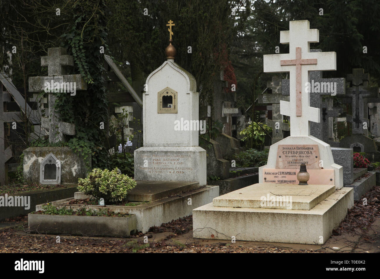 Alexander serebriakov hi-res stock photography and images - Alamy