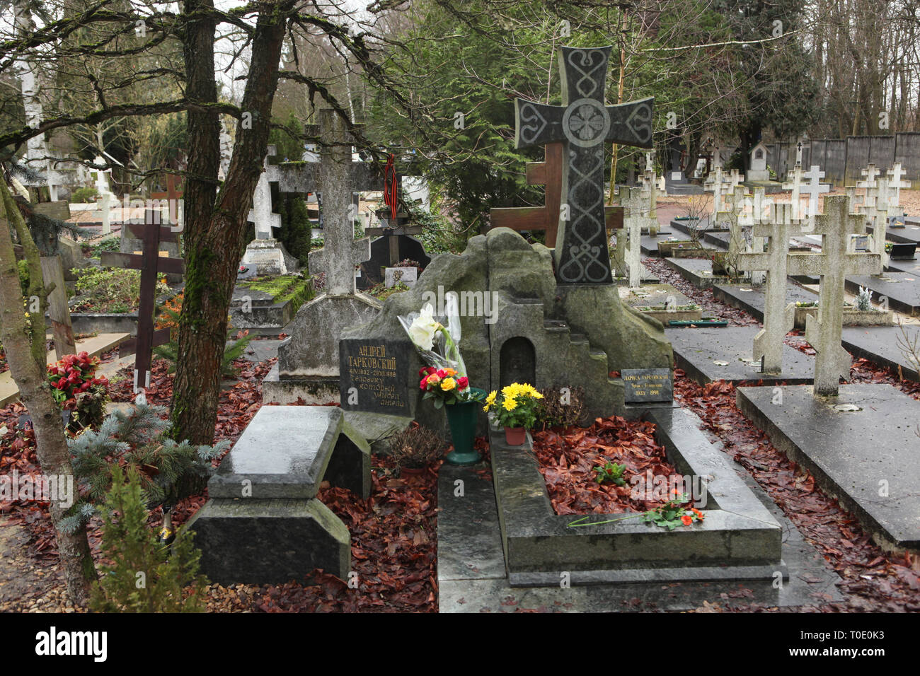 Grave of Russian film director Andrei Tarkovsky at the Russian Cemetery in Sainte-Geneviève-des-Bois (Cimetière russe de Sainte-Geneviève-des-Bois) near Paris, France. Stock Photo