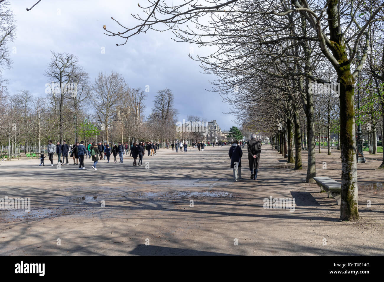 Tuileries garden in Paris Stock Photo