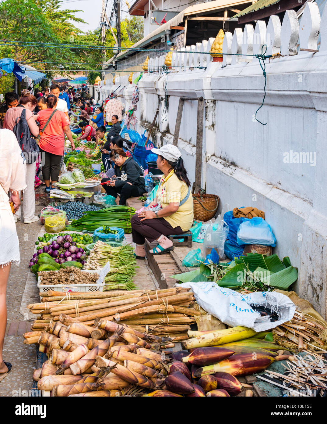 Women selling vegetables, bamboo shoot and bamboo canes, morning street