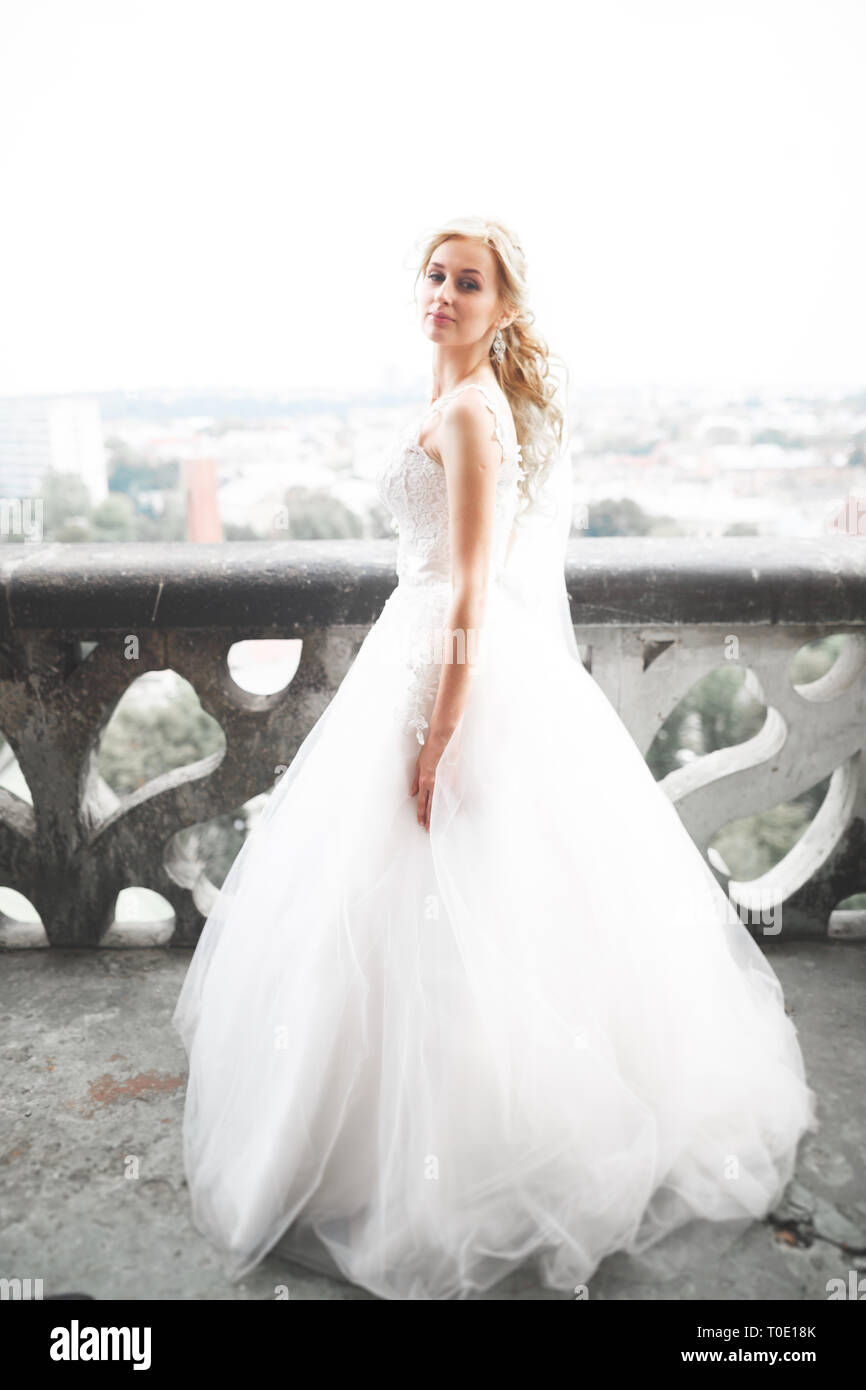 Beautiful luxury bride on the balcony with perfect landscape Stock Photo