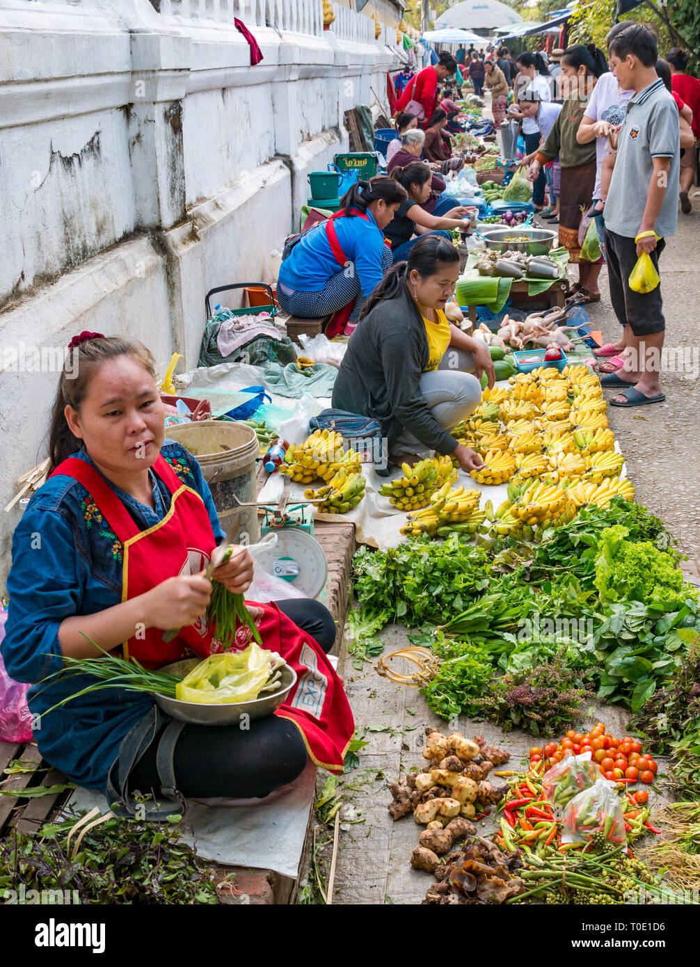 Women selling vegetables, morning street food market, Luang Prabang, Laos, SE Asia Stock Photo