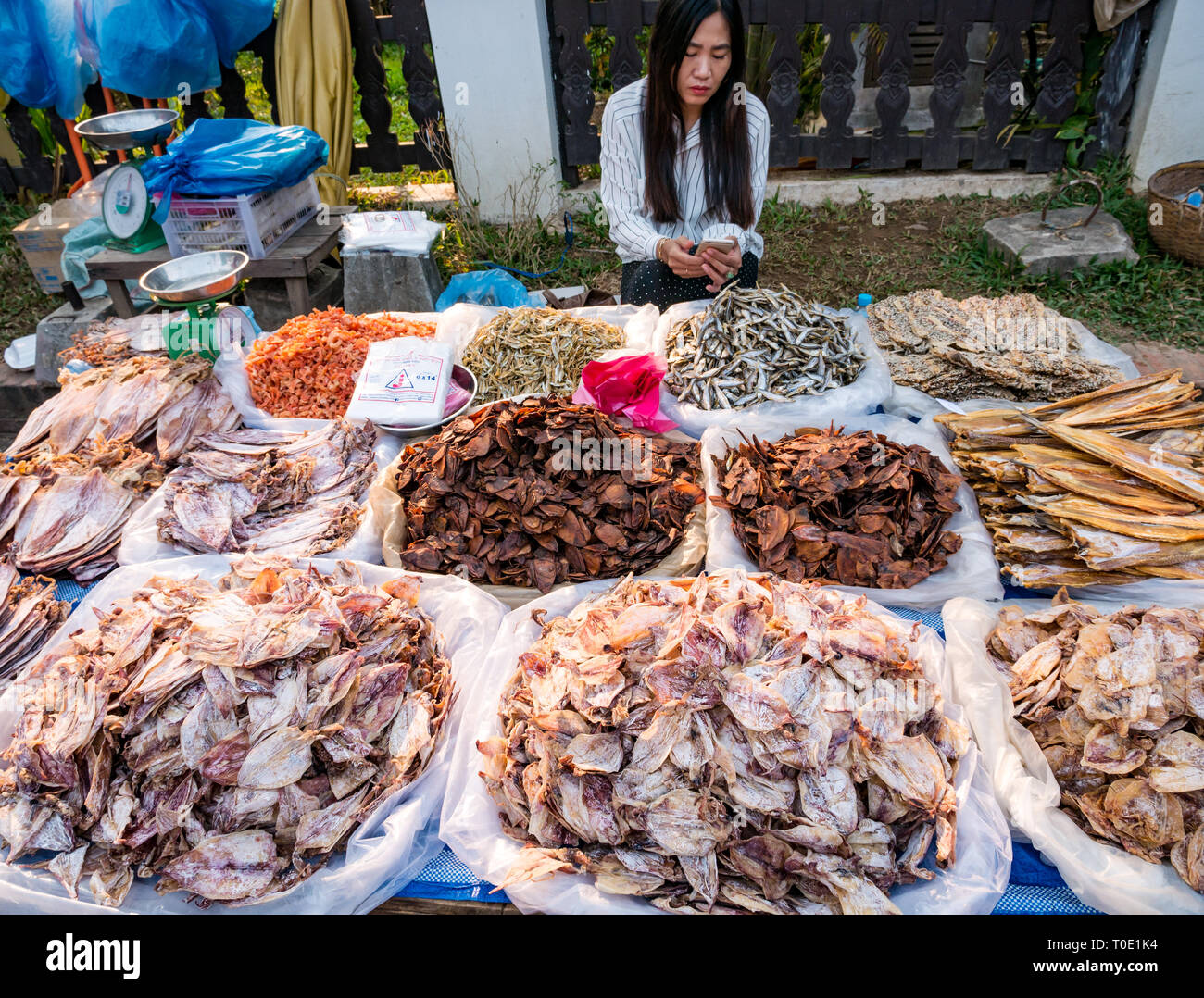 Woman stall holder looking at mobile phone with dried fish displayed for sale, morning street food market, Luang Prabang, Laos, SE Asia Stock Photo