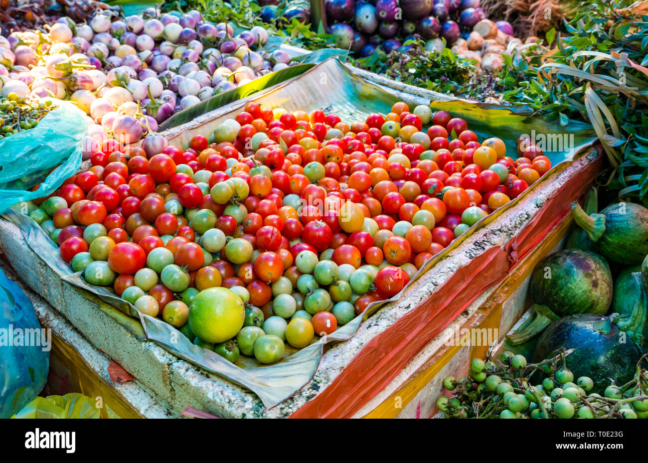 Vegetable display at market stall with cherry tomatoes, green pumpkins and shallots, Phosy day market, Luang Prabang, Laos, SE Asia Stock Photo