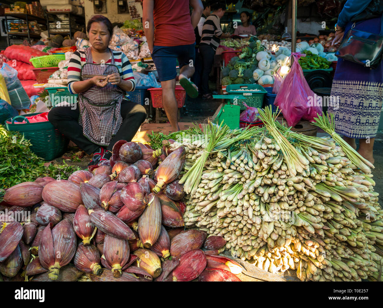 Banana flowers hires stock photography and images Alamy