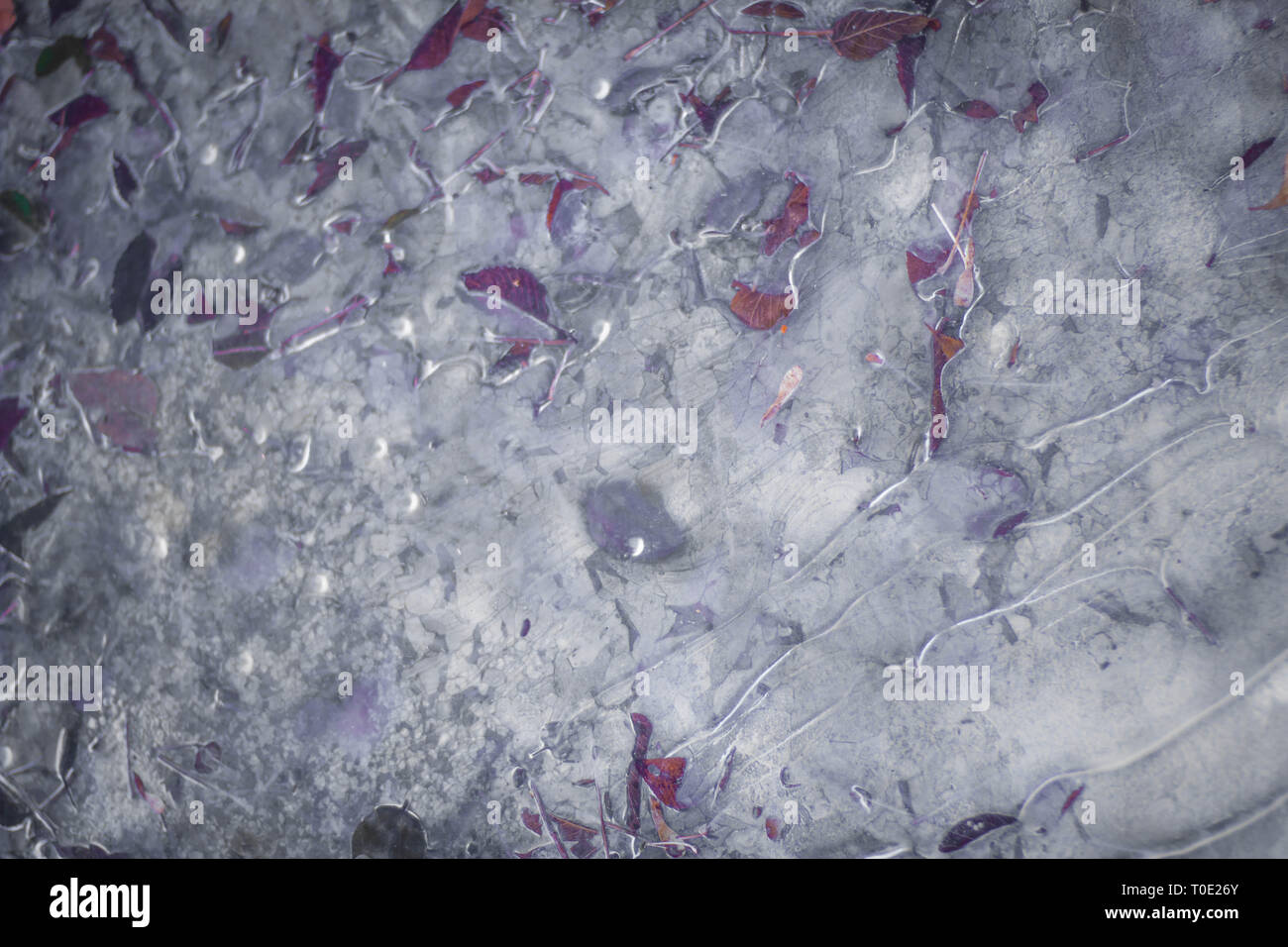 Abstract ice scene Stock Photo - Alamy