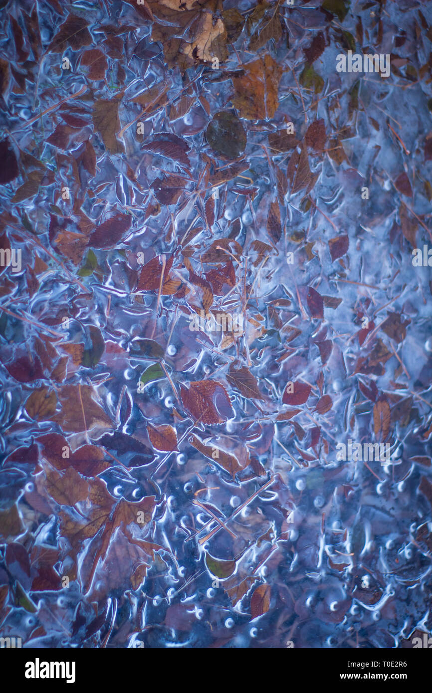 Abstract ice scene Stock Photo - Alamy