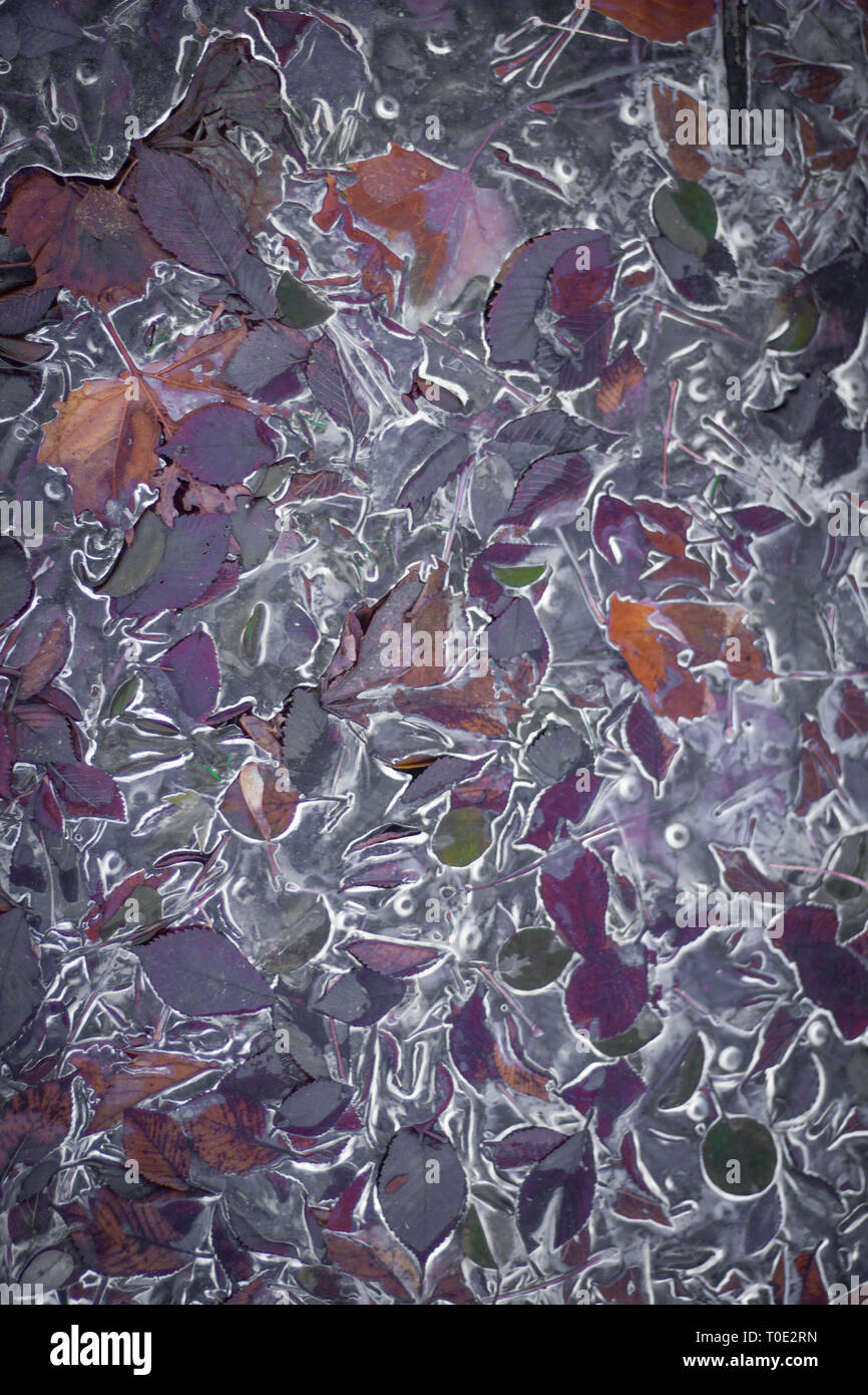 Abstract ice scene Stock Photo - Alamy