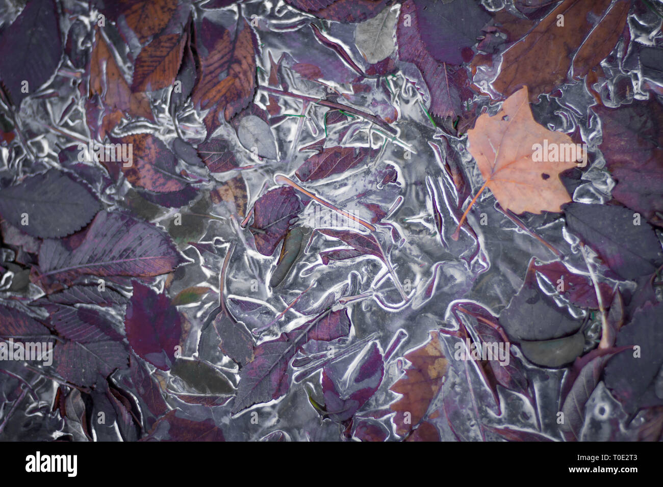 Abstract ice scene Stock Photo - Alamy