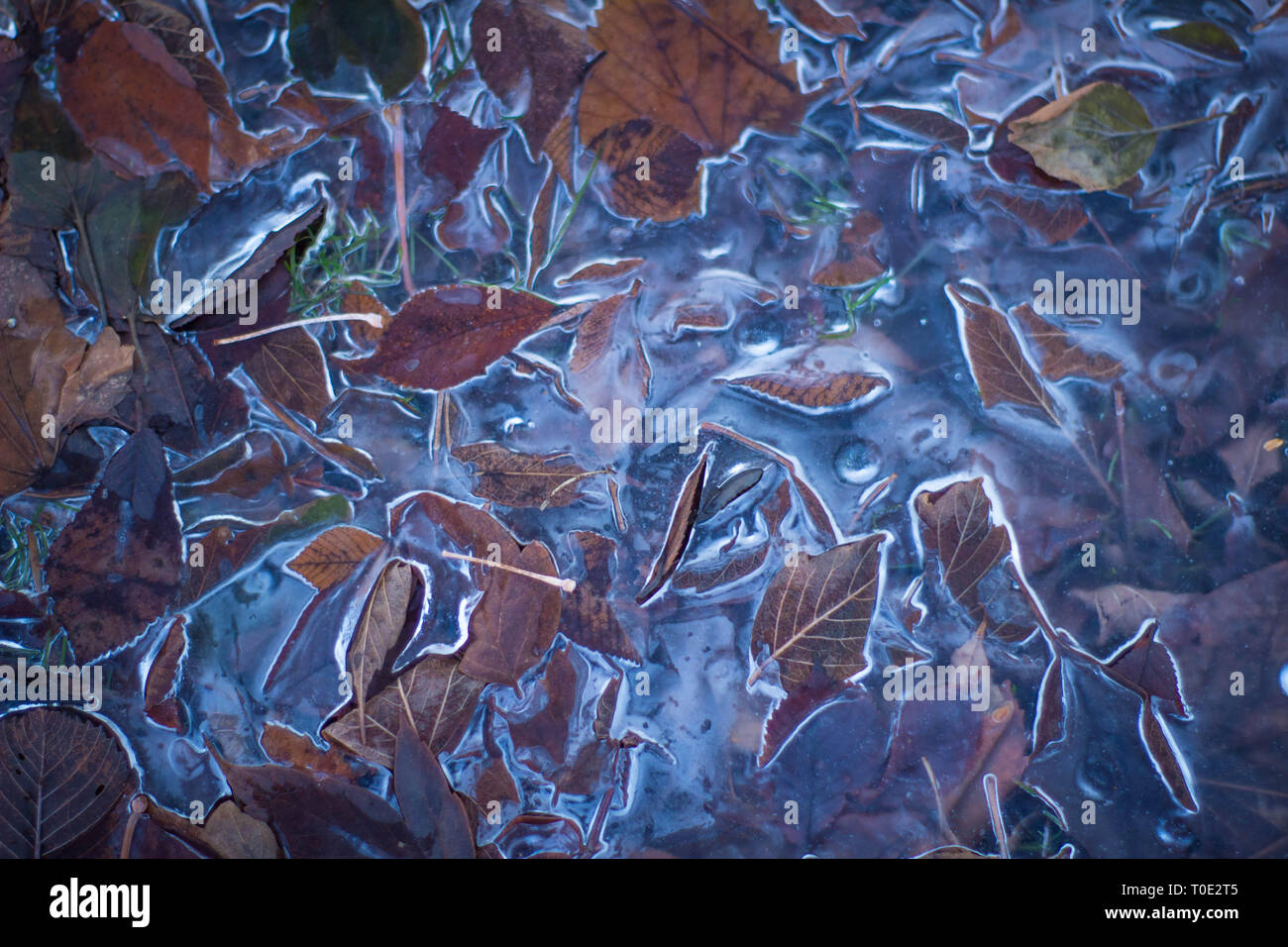 Abstract ice scene Stock Photo - Alamy