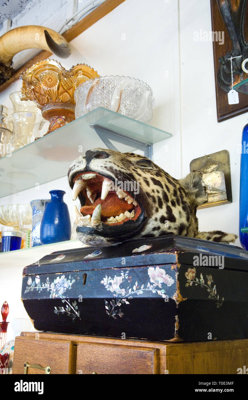 Aquamarine, an antique shop in London. Stock Photo