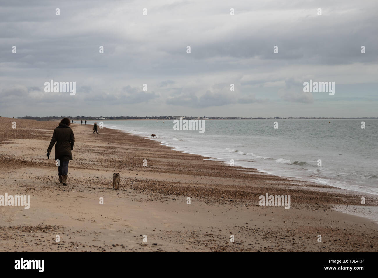 Young woman in her 30's walking her dog on a British beach Stock Photo