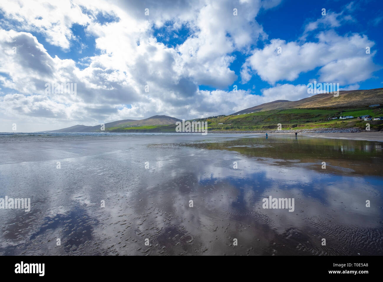Walking at Inch Beach on Dingle, Co Kerry, Ireland Stock Photo Alamy