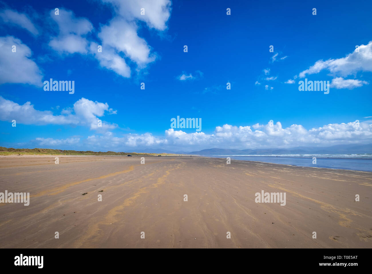 Walking at Inch Beach on Dingle, Co Kerry, Ireland Stock Photo Alamy