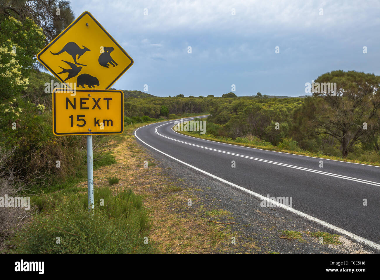 Warning sign for wildlife crossing on australian road: kangaroos, koalas, birds, wombats Stock Photo