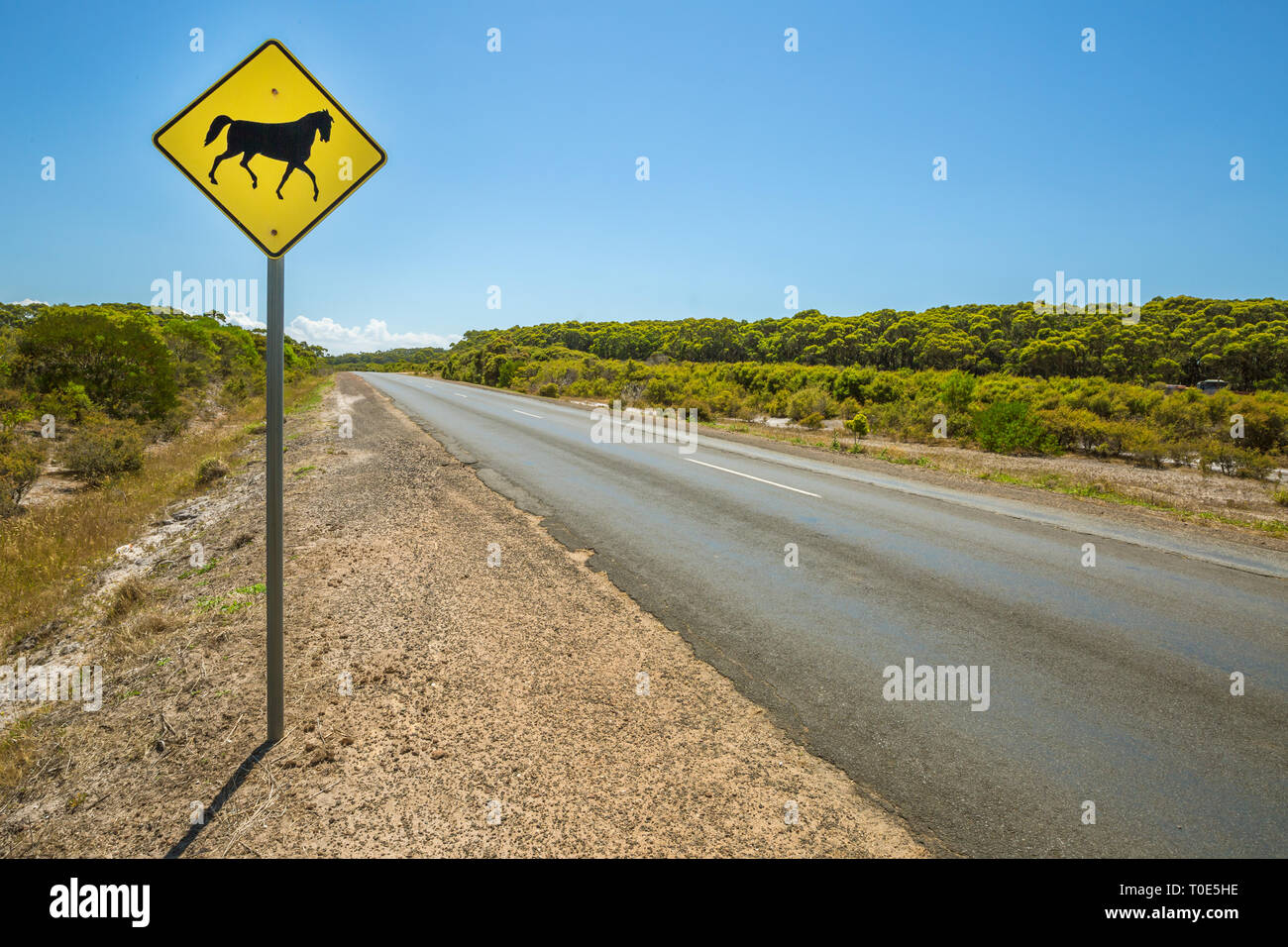 Warning sign for horse crossing on Australian road Stock Photo