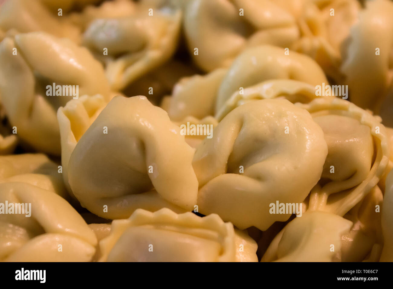 Fresh Tortellini stuffed with meat not cooked. A typical dish of