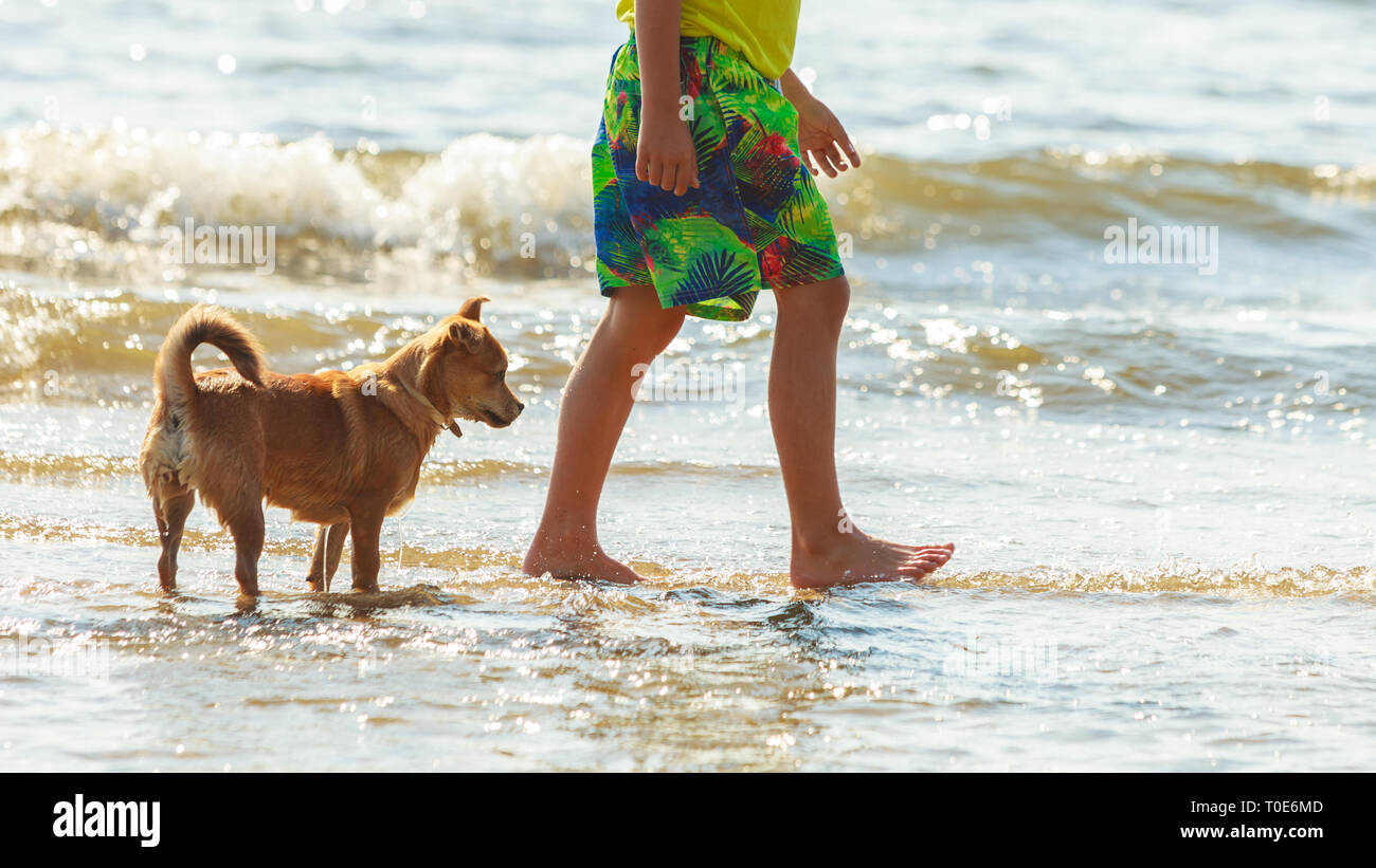 Connection between animals and kids concept. Sportive mixed race dog and boy kid playing together. Active child with puppy having fun Stock Photo - Alamy Connection between animals and kids concept. Sportive mixed race dog and boy kid playing together. Active child with puppy having fun Stock Photo - Alamy