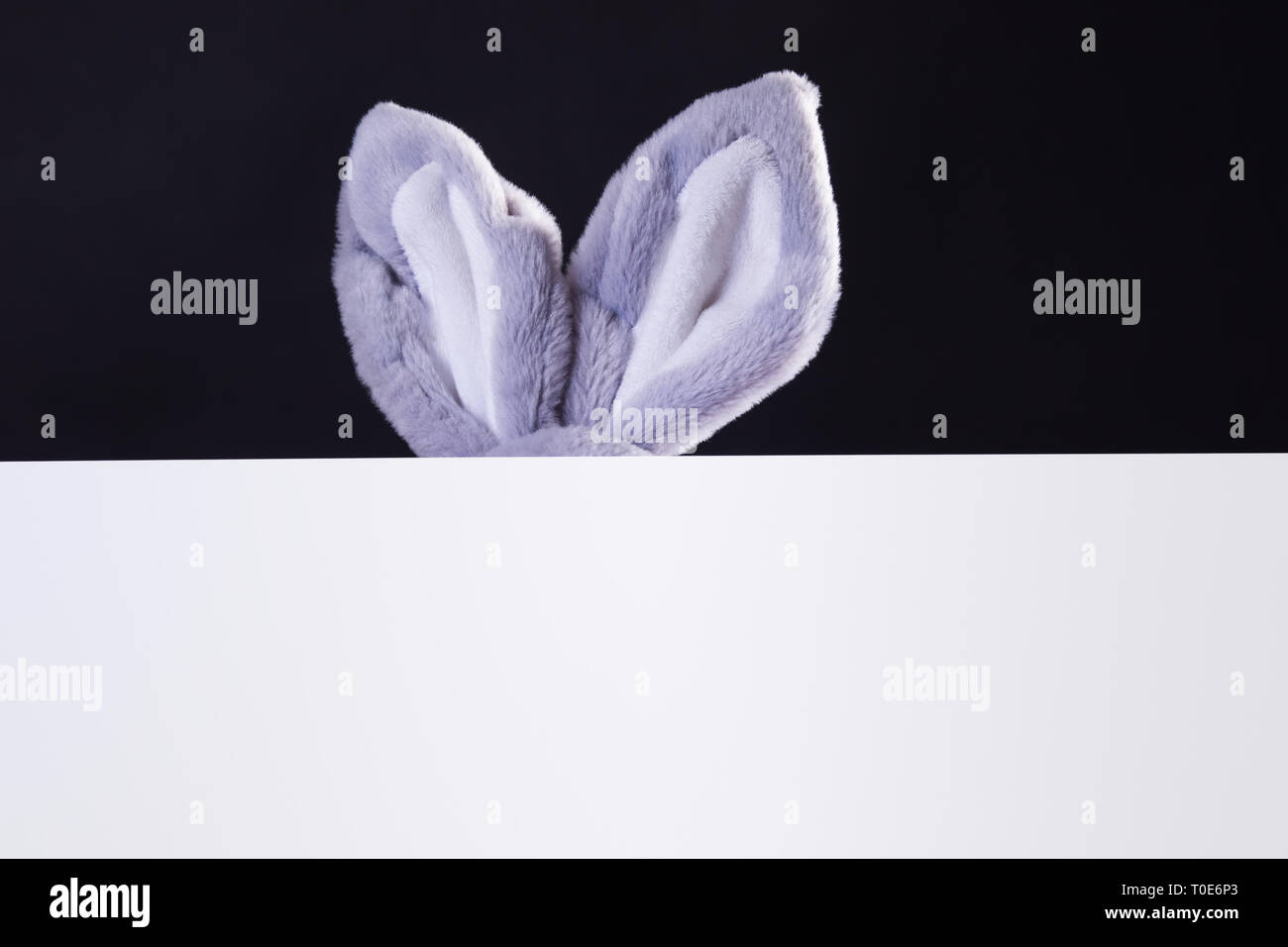 Rabbit ears sticking out of a blank sheet of paper with empty space