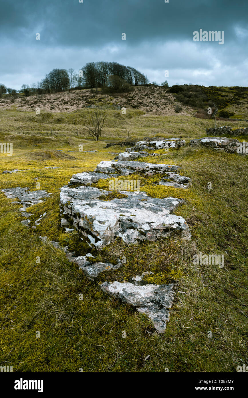 Exposed limestone at the old mine workings at Ubley Warren Nature Reserve in the Mendip Hills near Charterhouse, Somerset, England. Stock Photo