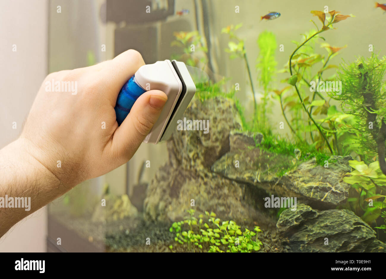 Magnetic fish tank cleaner discount