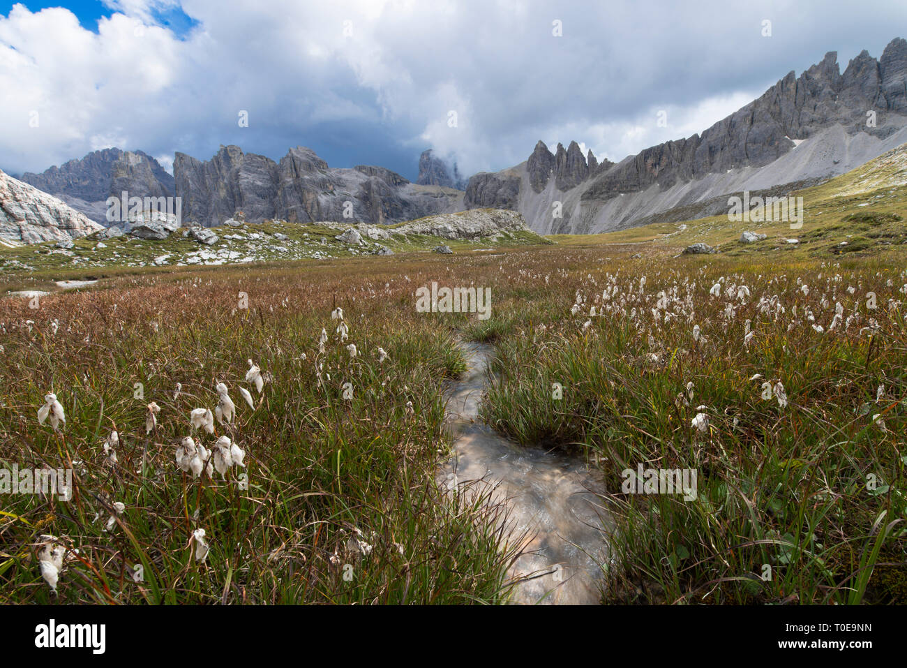 A Little Stream in Dolomites landscape. Little river stream in the mountain, Dolomites, Sudtirol, Trentino Alto Adige, Italy Stock Photo