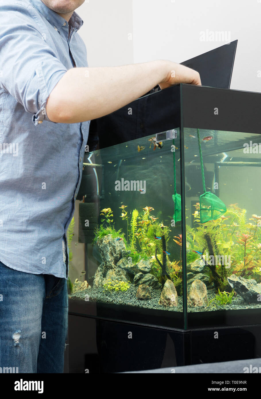 Fish net aquarium hi-res stock photography and images - Alamy