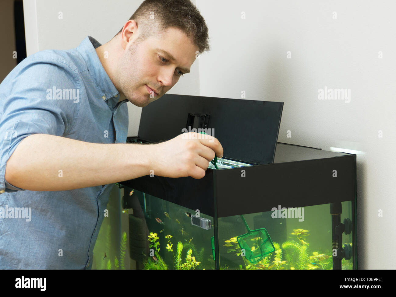 Handsome man catching fishes in the aquarium Stock Photo - Alamy