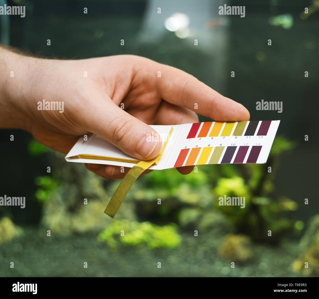 Ph testing kit hi-res stock photography and images - Alamy