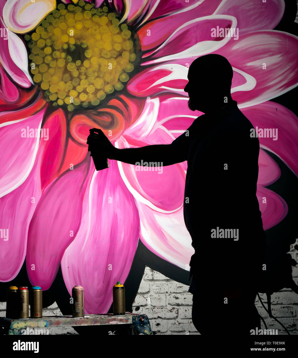 Mural artist Lee Ferry hold a can of spray paint as he works on a flower mural during the press preview of the Harrogate Spring Flower Show at the Great Yorkshire Showground, Harrogate. Stock Photo