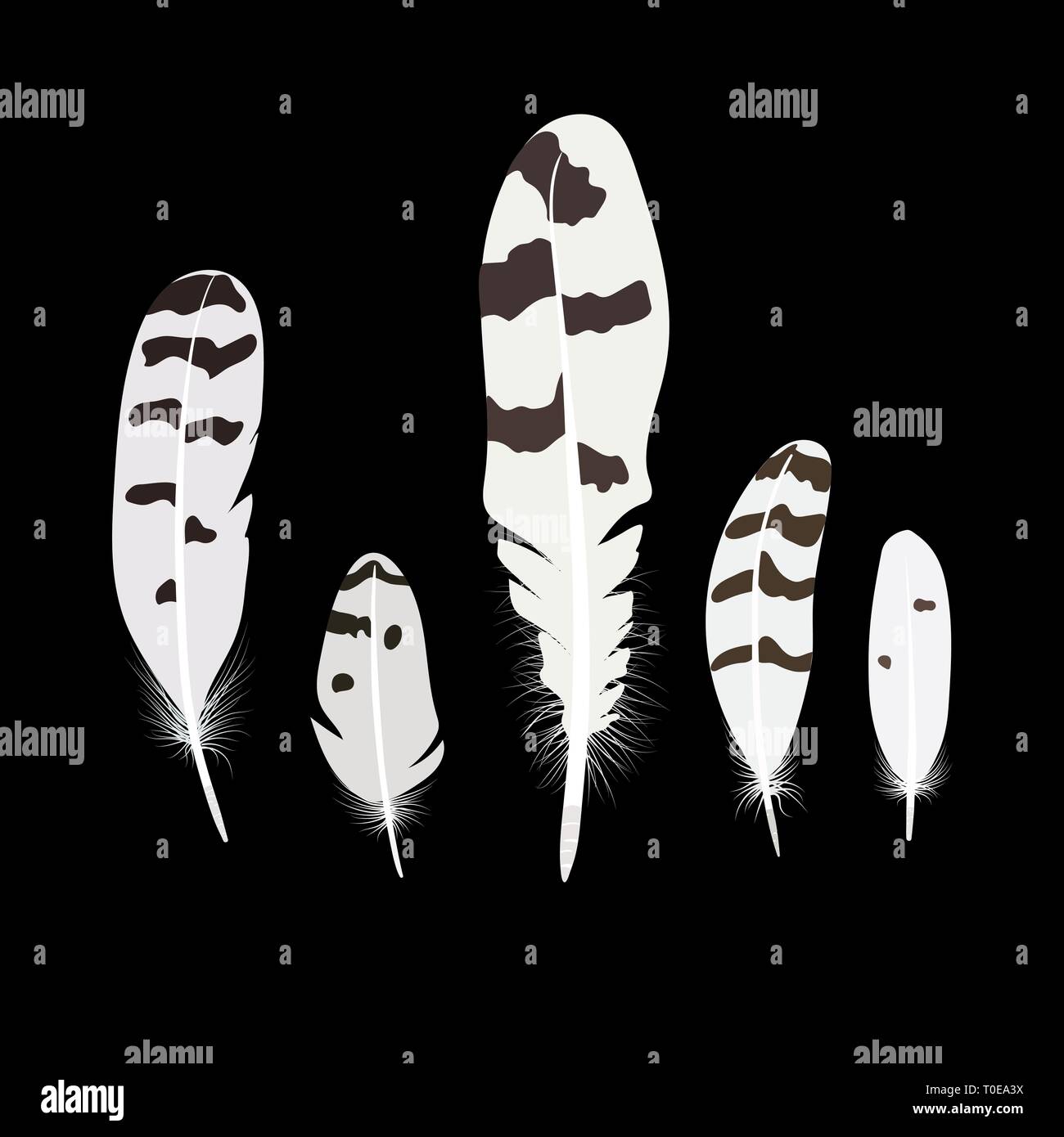 Set of isolated falling white fluffy twirled feathers on transparent background in realistic style Stock Vector