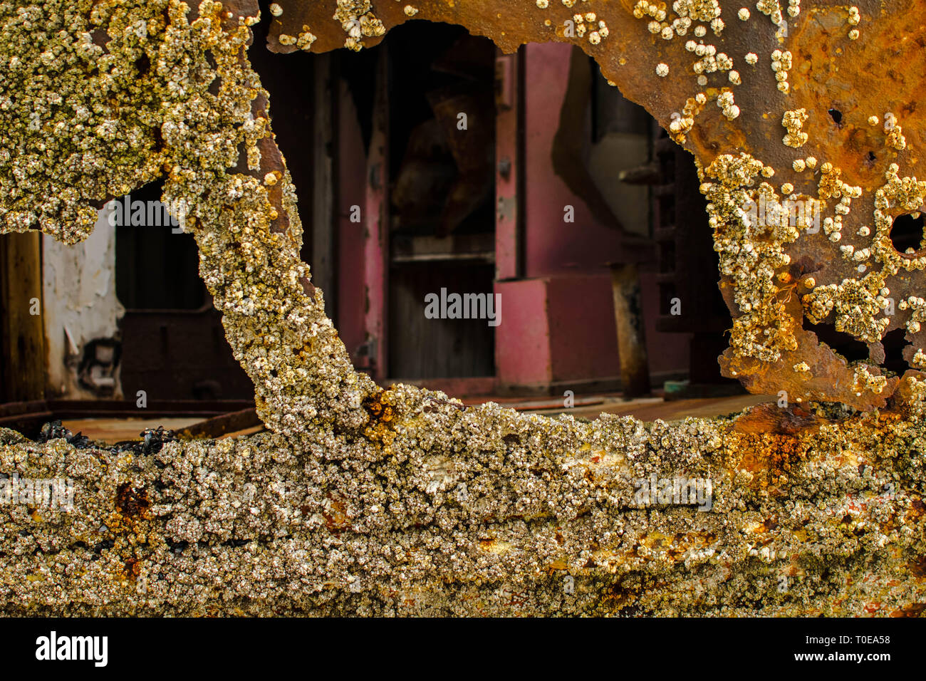 Hole in a ship hires stock photography and images Alamy