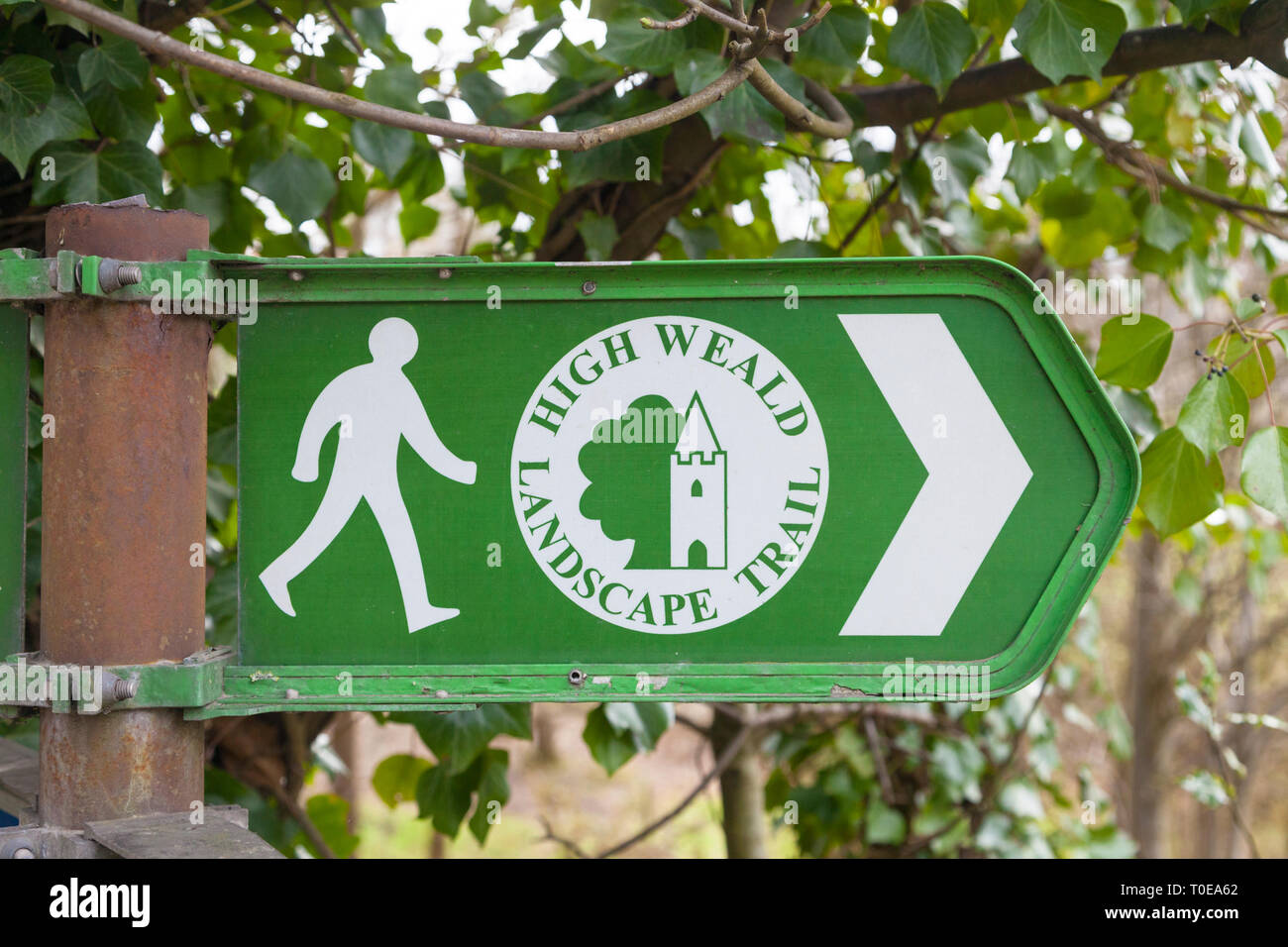 Sign directing people for the high weald landscape trail with image of person and direction, tenterden, kent, uk Stock Photo