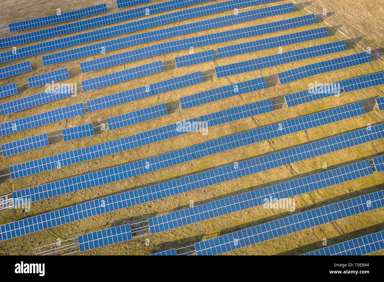 Aerial drone view of solar panels at a solar energy farm. Vilnius county, Lithuania Stock Photo