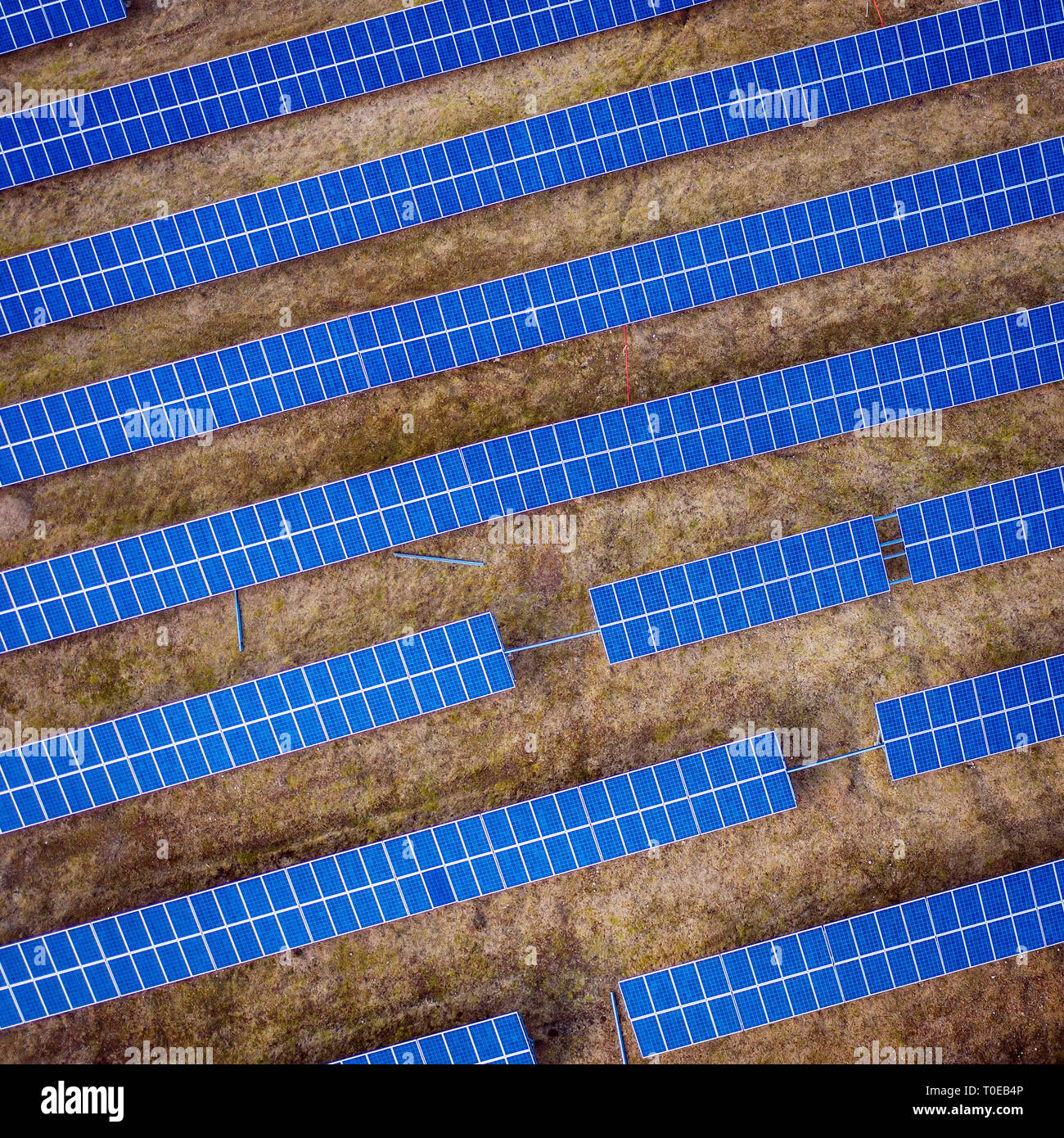 Aerial drone view of solar panels at a solar energy farm. Vilnius county, Lithuania Stock Photo