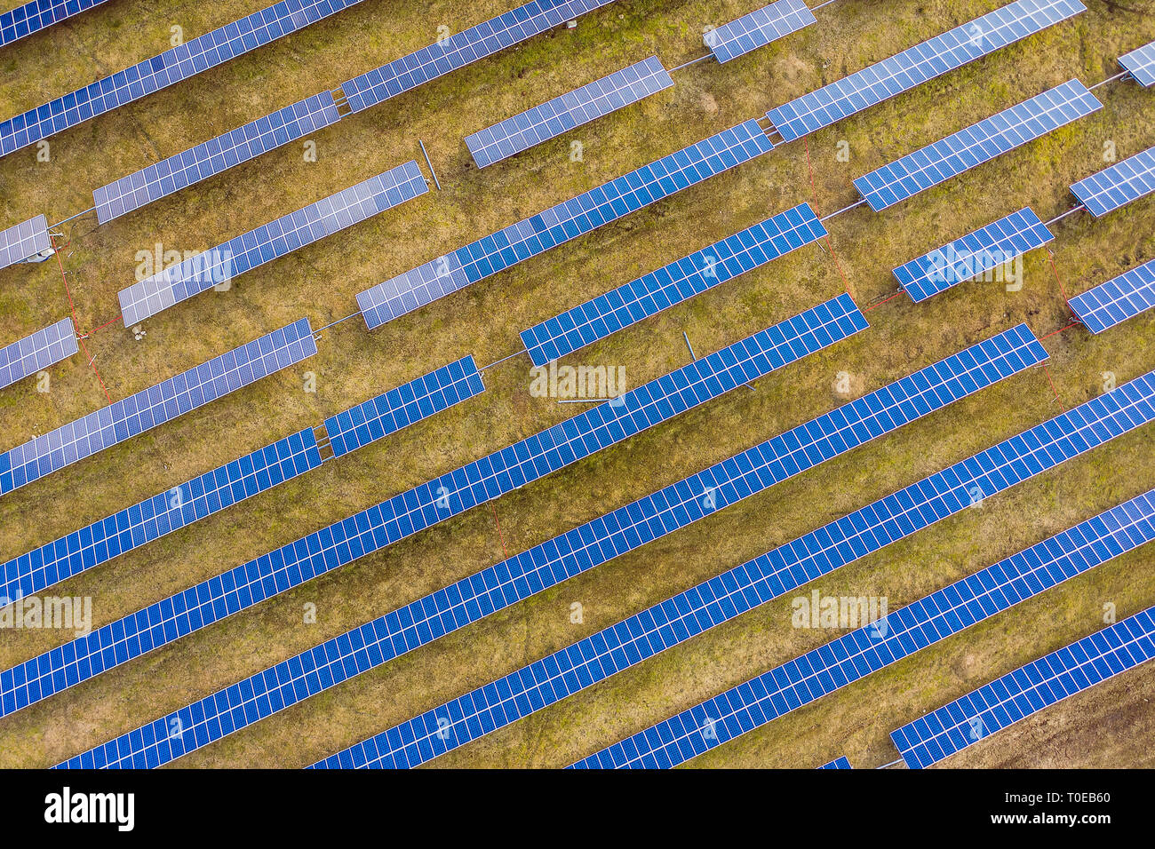 Aerial drone view of solar panels at a solar energy farm. Vilnius county, Lithuania Stock Photo