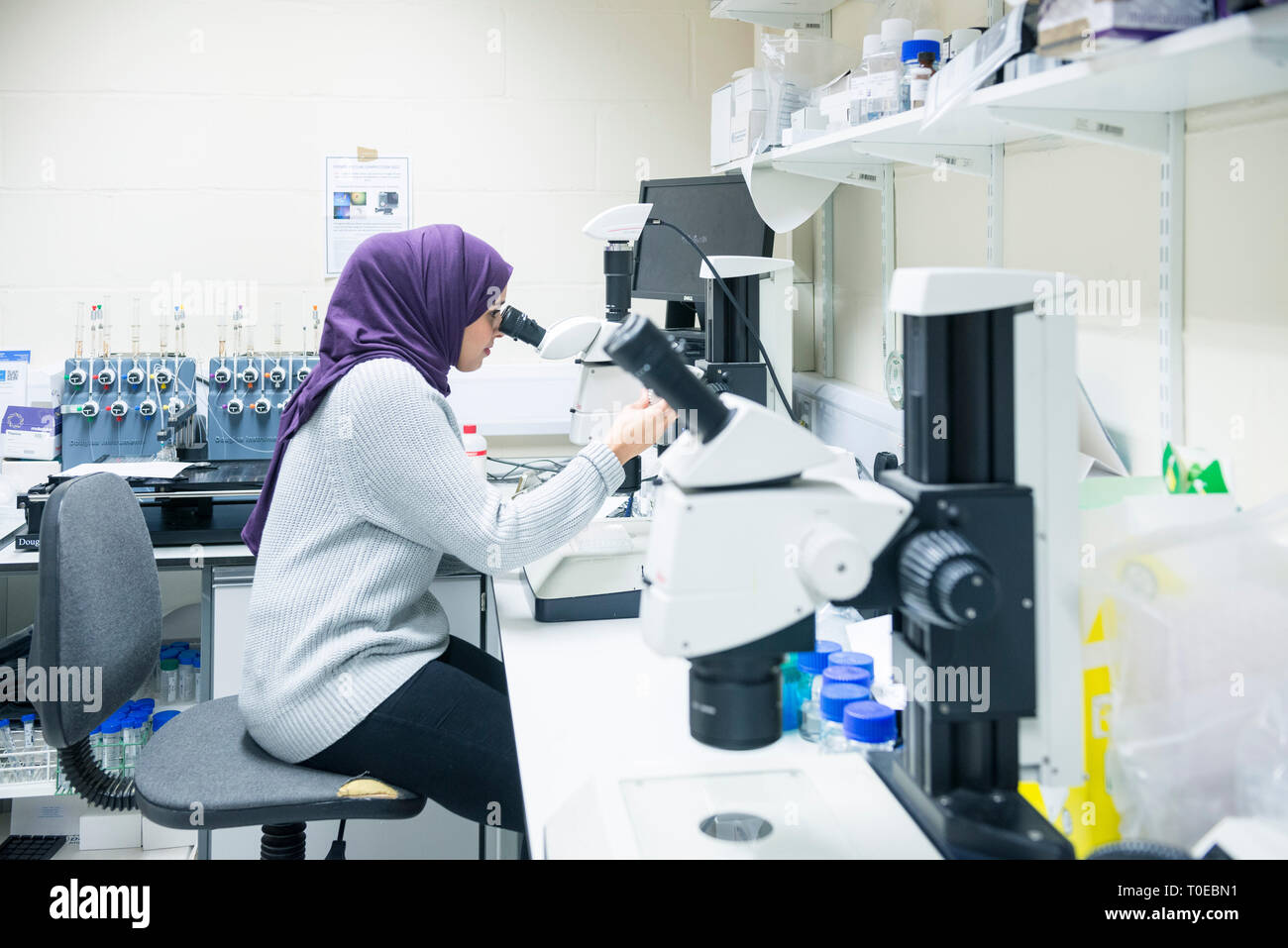 A muslim woman uses the scientific equipment in a research laboratory ...