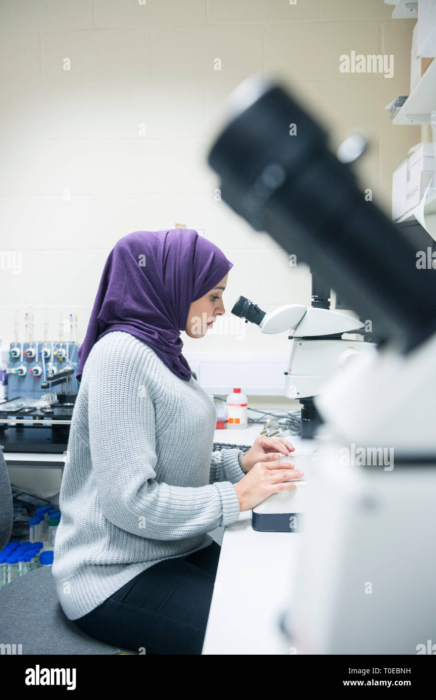 A muslim woman uses the scientific equipment in a research laboratory ...