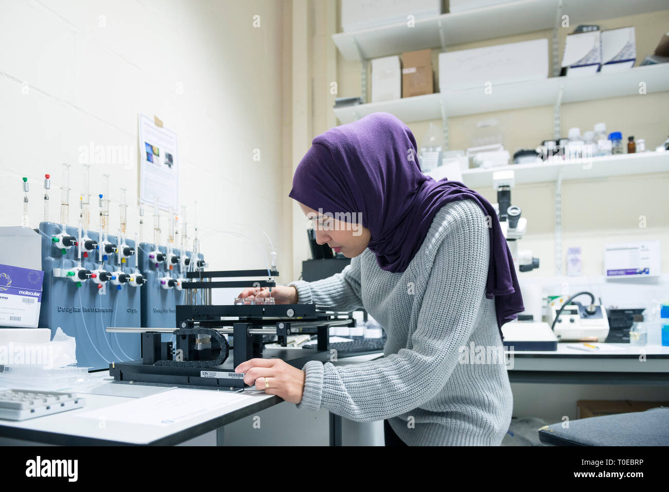 A muslim woman uses the scientific equipment in a research laboratory ...