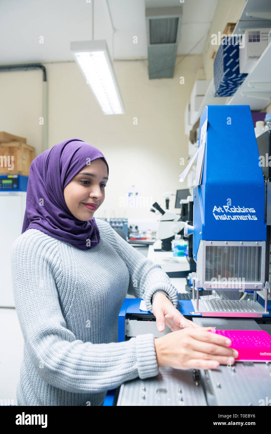 A muslim woman uses the scientific equipment in a research laboratory ...